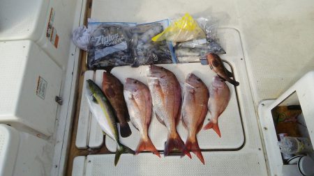 マリンガイド福丸 釣果