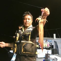 South Current 釣果