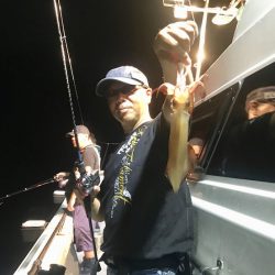 South Current 釣果