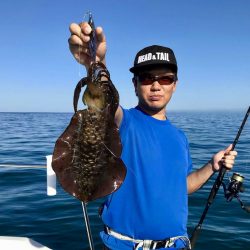 South Current 釣果