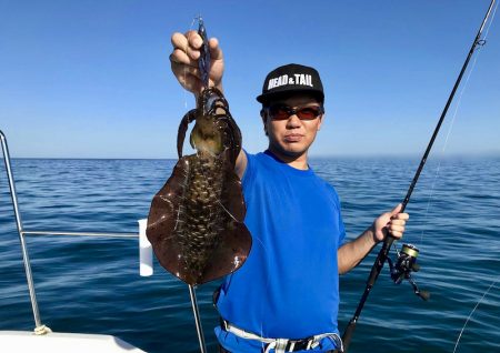 South Current 釣果