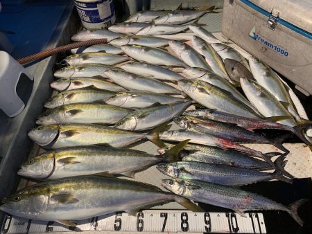 オーシャンスター(Ocean Star) …