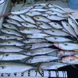 オーシャンスター(Ocean Star) 釣果