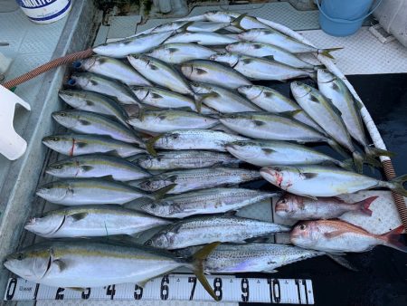 オーシャンスター(Ocean Star) …