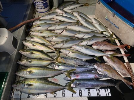 オーシャンスター(Ocean Star) …