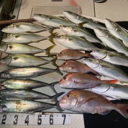 オーシャンスター(Ocean Star) 釣果