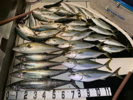 オーシャンスター(Ocean Star) …