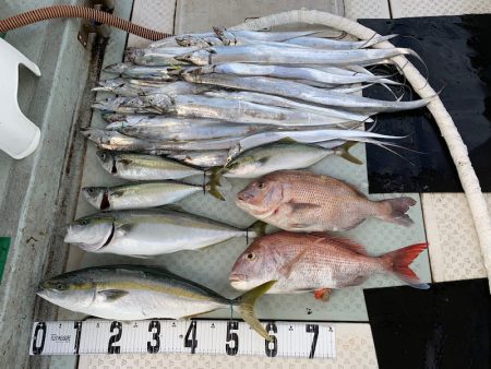 オーシャンスター(Ocean Star) …