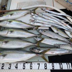 オーシャンスター(Ocean Star) 釣果