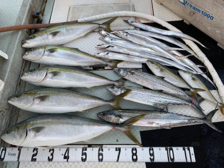 オーシャンスター(Ocean Star) …