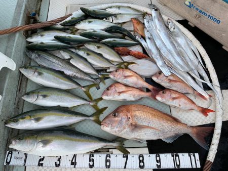 オーシャンスター(Ocean Star) …