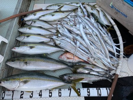 オーシャンスター(Ocean Star) …