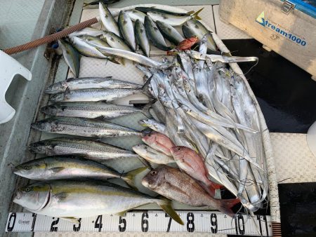 オーシャンスター(Ocean Star) …