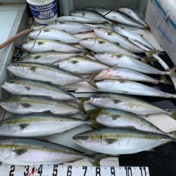 オーシャンスター(Ocean Star) 釣果