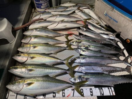 オーシャンスター(Ocean Star) …