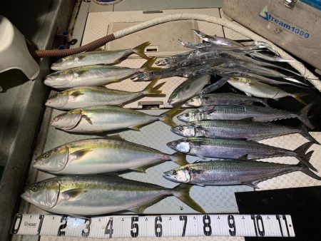 オーシャンスター(Ocean Star) …