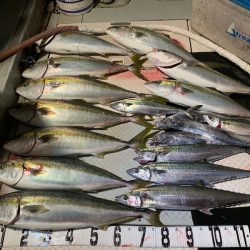 オーシャンスター(Ocean Star) 釣果