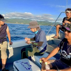 South Current 釣果