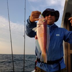 ひな丸 釣果