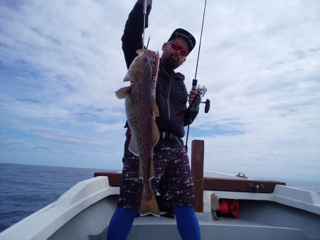 ひな丸 釣果