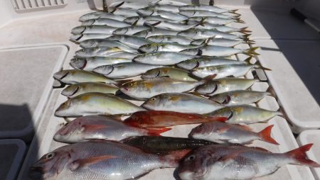 ＪＤＩ　Ｒａｃｉｎｇ　シールズマリンレジャ…