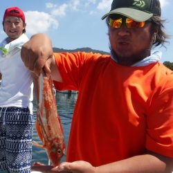 ＪＤＩ　Ｒａｃｉｎｇ　シールズマリンレジャー 釣果