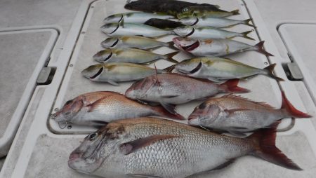 ＪＤＩ　Ｒａｃｉｎｇ　シールズマリンレジャ…