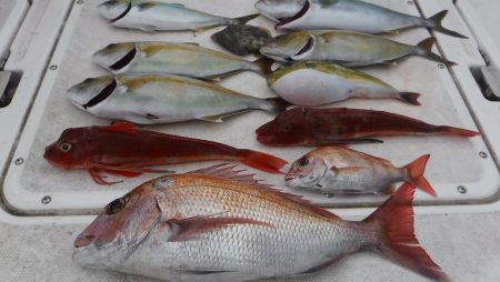 ＪＤＩ　Ｒａｃｉｎｇ　シールズマリンレジャ…