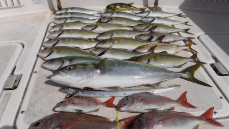 ＪＤＩ　Ｒａｃｉｎｇ　シールズマリンレジャ…