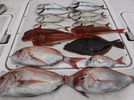 ＪＤＩ　Ｒａｃｉｎｇ　シールズマリンレジャ…