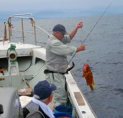 第二清洋丸 釣果