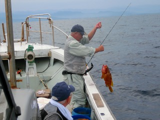 第二清洋丸 釣果