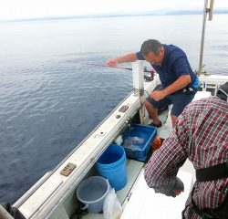 第二清洋丸 釣果