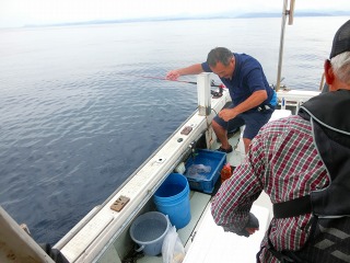 第二清洋丸 釣果