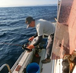 第二清洋丸 釣果