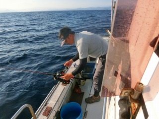 第二清洋丸 釣果