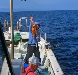 第二清洋丸 釣果