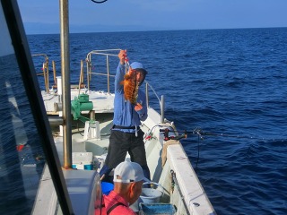 第二清洋丸 釣果