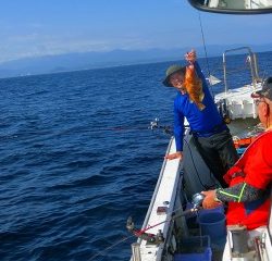 第二清洋丸 釣果