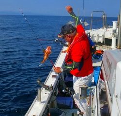 第二清洋丸 釣果