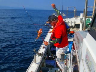 第二清洋丸 釣果