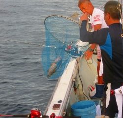 第二清洋丸 釣果