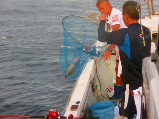 第二清洋丸 釣果