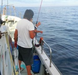 第二清洋丸 釣果