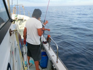 第二清洋丸 釣果