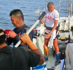 第二清洋丸 釣果