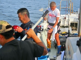 第二清洋丸 釣果