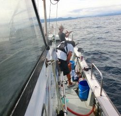 第二清洋丸 釣果