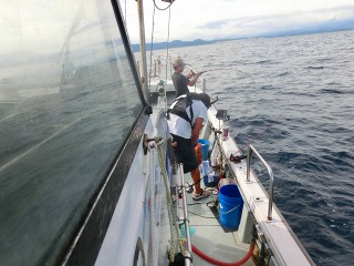 第二清洋丸 釣果