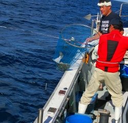 第二清洋丸 釣果